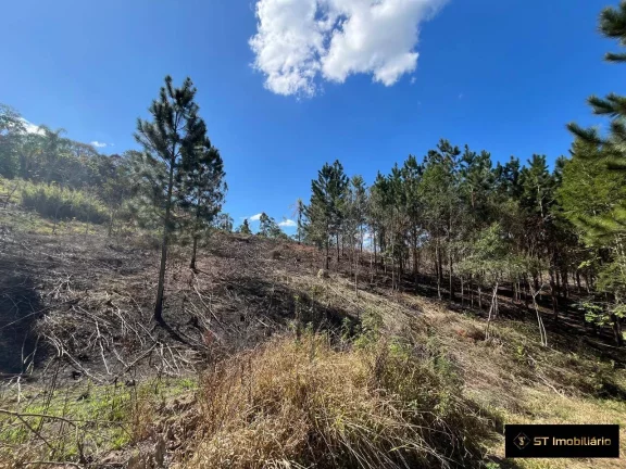 Imagem Terreno a Venda com Água na Estrada do Rio Acima - 11.000m² por R$450mil
