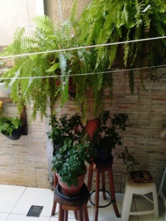 Imagem Venda - Casa 03 Quartos em Condomínio - Zona Sul