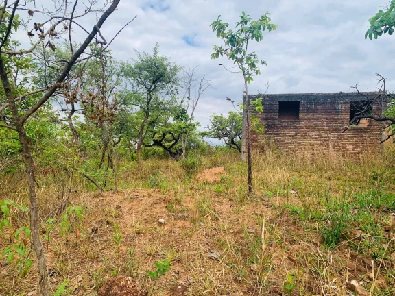 Imagem CHÁCARA DE 4.685,74M².