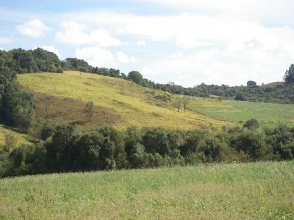 Imagem SÍTIO À VENDA 43,56 HECTARES R$ 1.900.000 - ZONA RURAL - JACUI/MG