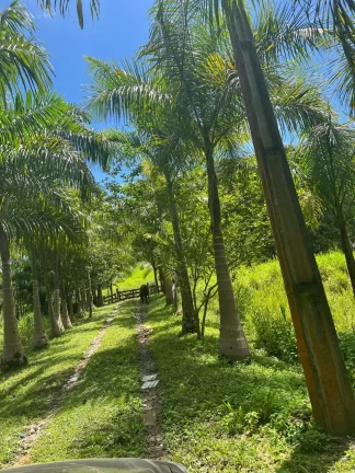 Imagem Sítio em Juquiá