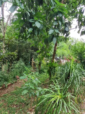 Imagem CANTINHO DOS SONHOS LOCALIZADO NO BAIRRO USINA