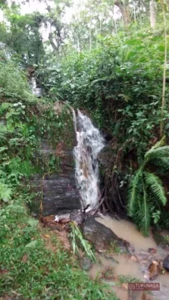 Imagem Sítio à venda, 30000 m² por R$ 1.064.000,00 - Pouso Alegre - Santa Isabel/SP