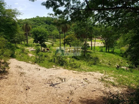 Imagem AREA RURAL EM INHAÚMA