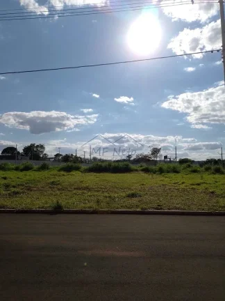 Imagem Terreno Padrão