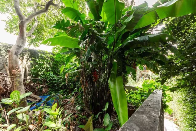 Imagem Casa à venda em São Paulo, Pirituba, com 4 quartos, 188m2