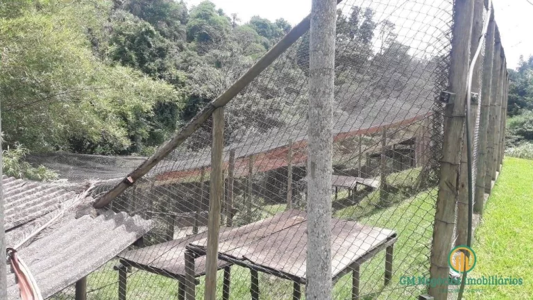 Imagem Área 34milm2 com platôs excelente para condomínio prox centro ZIS(MCMV)