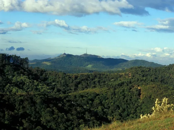 Imagem TERRENO RESIDENCIAL em Santana de Parnaíba - SP, Alphaville