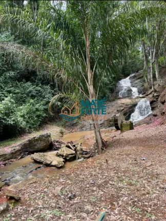 Imagem Oportunidade Sitio correspondente a Área de 5.62.48ha, sendo 56.200 m2 em Santa Rita do Sapucaí MG