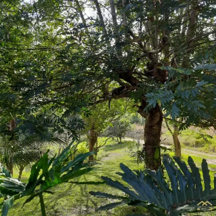 Imagem Sítio na divisa de Jundiaí com Itatiba com área de 68.000m² em preço promocional