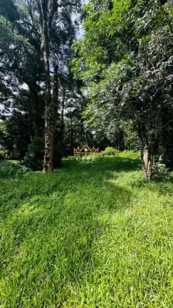 Imagem Terreno com 4 Dormitorio(s) localizado(a) no bairro Linha Imperial em Nova Petrópolis / RIO GRANDE DO SUL Ref.:1563