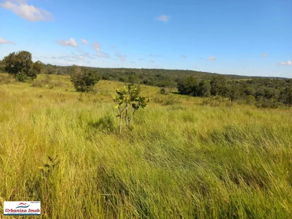 Imagem Fazenda à Venda no Município de Camapuã/MS contendo 1003 hectares com Formação 50% feito esse ano | Mangueiro Novo sendo finalizado | 18 KM da Rodovia