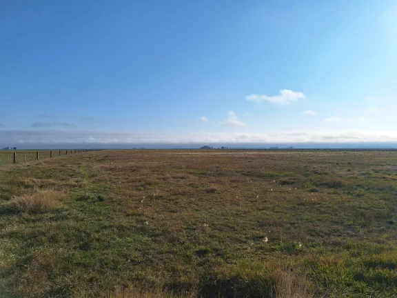 Imagem Excelente Área de 130 Hectares para Cultivo de Arroz – Viamão/RS