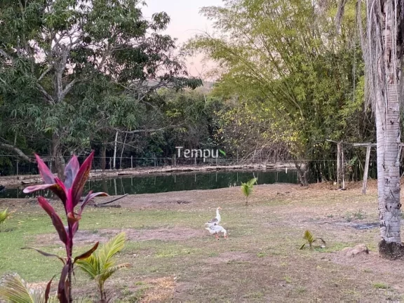 Imagem Fazenda zona Rural São Miguel do Passa Quatro, 175 ha, - GO, 36,1 Alqueires