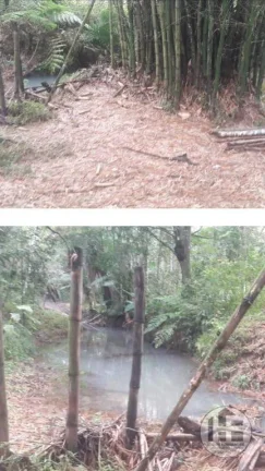 Imagem Chácara à venda com 8 hectares em Aldeia