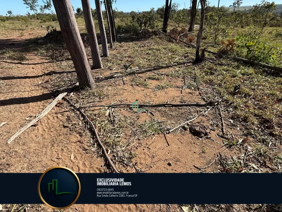 Imagem OPORTUNIDADE ÚNICA - FAZENDA Á VENDA EM PEIXOTO/LAGE (IBIRACI/MG) COM 92 ALQUEIRES