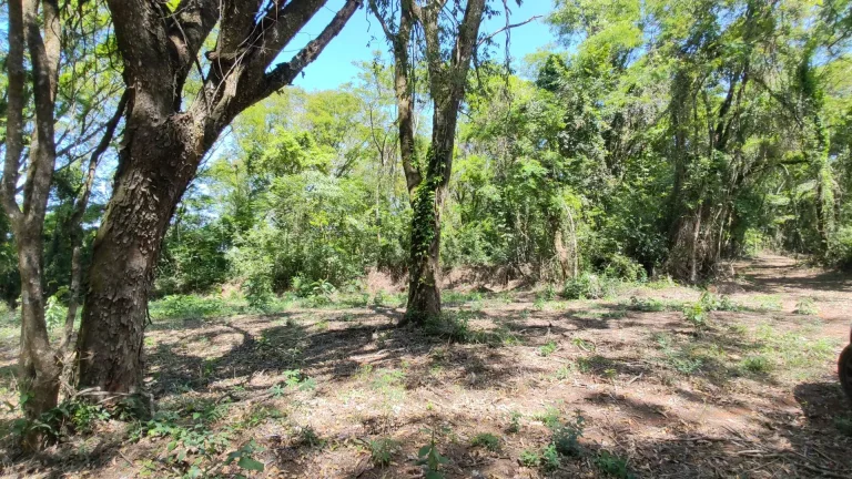 Imagem Chácara a venda em Cascavel, com 2,0992 hectare cada uma e matrícula indiviauais.
