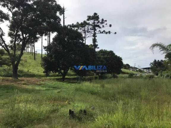 Imagem Terreno à venda, 50000 m² por R$ 17.000.000,00 - Rio Abaixo - Itaquaquecetuba/SP