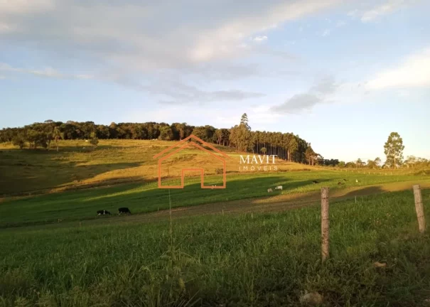 Imagem CHACARA RURAL em ANITA GARIBALDI - SC, Interior