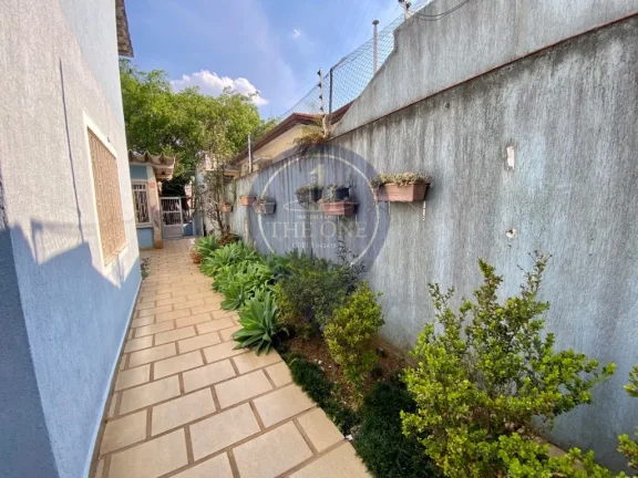 Imagem Imperdível oportunidade: Casa à venda em São Paulo-SP, Jardim da Glória, 5 quartos, 2 salas, 4 banheiros, 3 vagas de garagem!