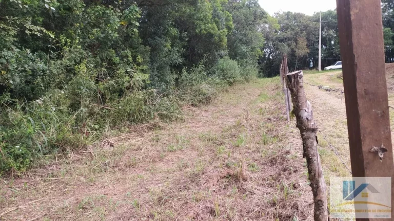 Imagem Terreno para Venda em São José dos Pinhais, Campestre da Faxina