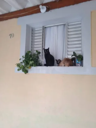 Imagem Alugo Casa individual no Parque Novo Oratório