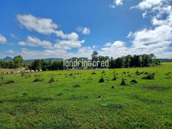 Imagem Sítio à venda, Flamenguinho, Ibaiti, PR