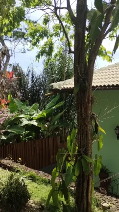 Imagem Casa à venda em Lagoa do Aruá, Mata de São João - Loteamento Quinta do Castelo da Torre