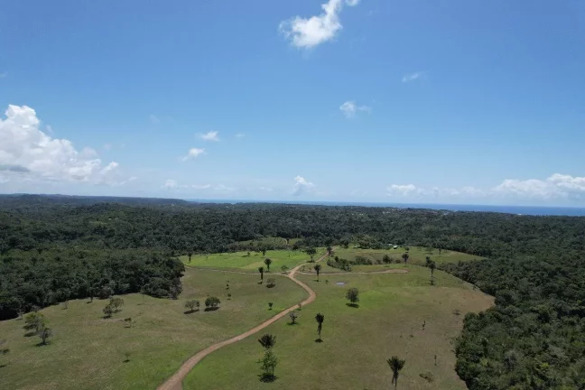 Imagem RESERVAS DO ESCONDIDO - MATA ATLÂNTICA