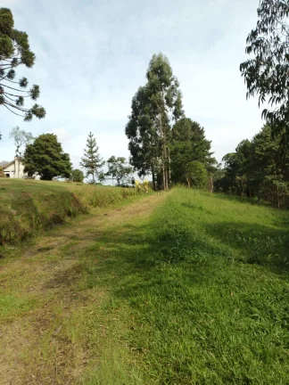 Imagem Chácara à venda em Piraquara, próxima ao Novo Projeto do Santuário Terra Prometida, do Padre Reginaldo Manzotti!!!