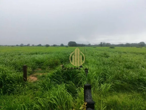 Fazenda à venda, 7000 m² por R$ 80.000.000,00 - Zona Rural - Cocalinho/MT