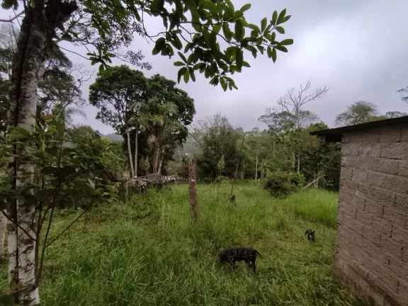 Imagem CHÁCARA RESIDENCIAL À VENDA, ESTÂNCIA PIRATININGA/PALMEIRAS, SUZANO