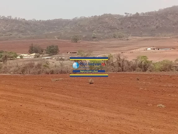 Imagem Fazenda 181 hectares montada para criação de bovinos até 220 cabeças e planta café, próximo de Altinópolis - São Paulo.