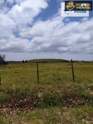 Imagem Chácara para Venda em Quinta Rio Grande-RS - 1381