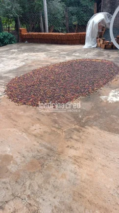 Imagem Chácara no Condomínio Piapara em Alvorada do Sul com 2.260m², 3 quartos, árvores frutíferas, café em produção, área cimentada e muito verde!