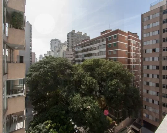 Imagem Apartamento com armários. Living, 1 dormitório, banheiro social, cozinha e área de serviço. 1 va...