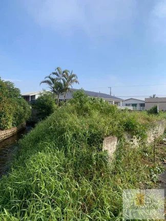 Imagem RINCÃO- LOTE