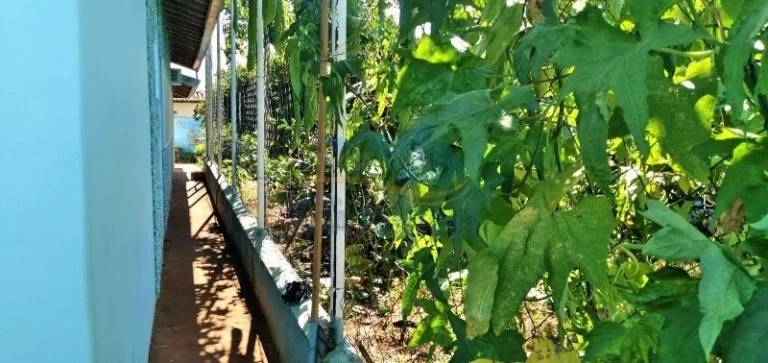 Imagem Casa - Ribeirão Preto - Parque Industrial Lagoinha - Região Leste