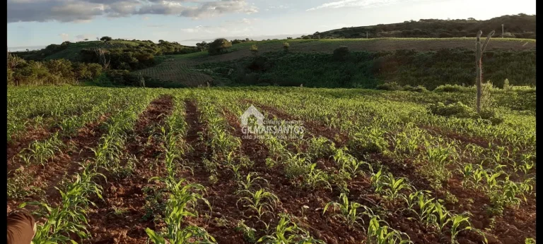 Imagem Lote/Terreno no bairro zona rural, em Sítio do Quinto