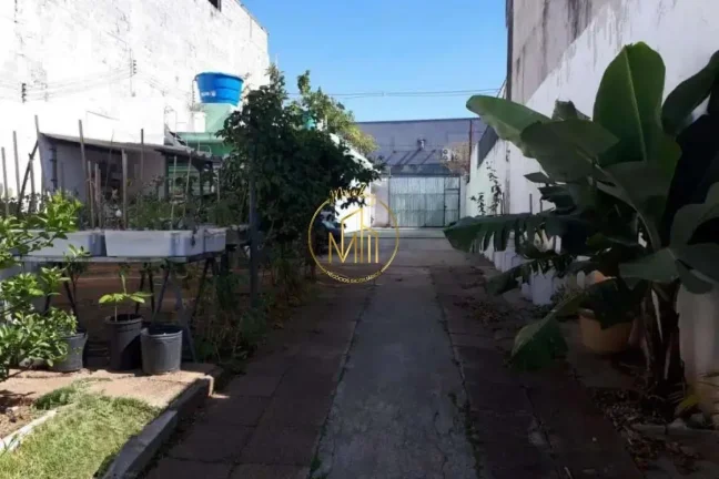 Imagem Terreno para Venda em São Paulo, Cursino
