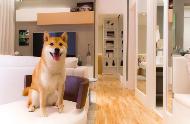 Imagem APARTAMENTO RESIDENCIAL em São Paulo - SP, Vila Mascote
