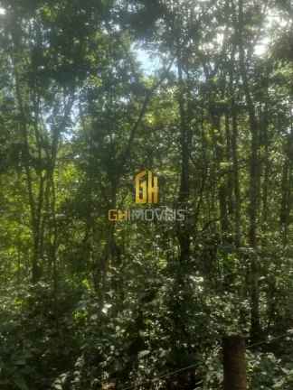 Imagem Chácara em Bela Vista de Goiás 

- Área total: 2 hectares; 
- Bela vista de Goiás 
- Entrada no ...