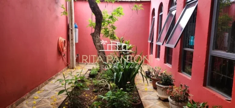 Imagem Casa - Ribeirão Preto - Avelino Alves Palma - Região Norte