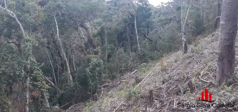 Imagem Terreno a Venda na Região do Atalaia Campos do Jordão / SP