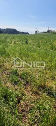 Imagem Chácara - Nsa Sra Candeias - 12 kms do Trevo de Pato Branco