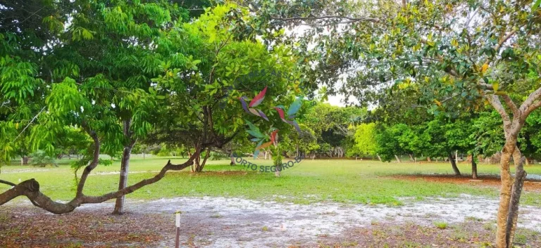 Imagem VILA DA VILA- PRAIA DE SANTO ANDRÉ - SANTA CRUZ CABRÁLIA