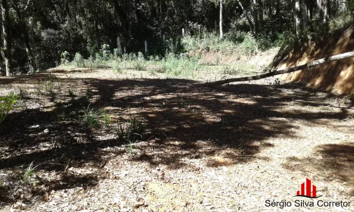 Imagem Terreno a Venda no Loteamento Nova Capivari, Campos do Jordão.