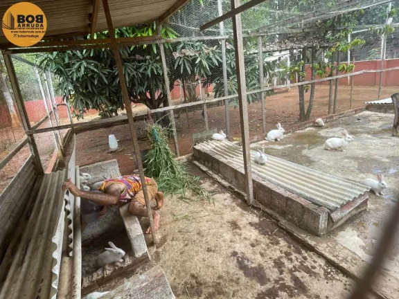 Imagem Terreno Padrão