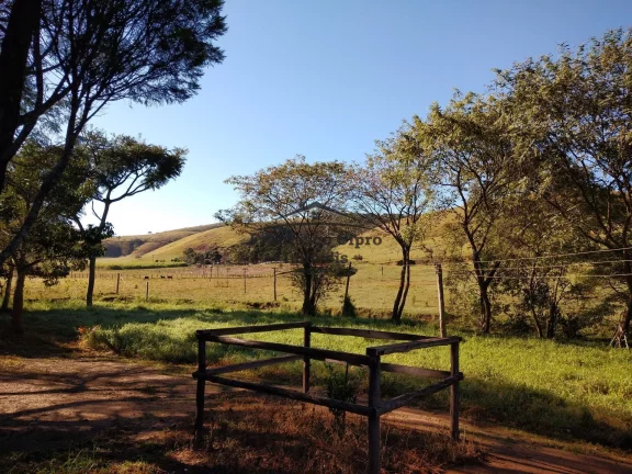 Imagem Fazenda à venda no bairro Macacos - Silveiras/SP