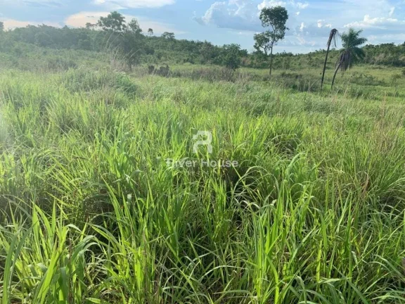 Imagem Fazenda 375 Hectares à venda, para Pecuaria localizada em Municipio de Nossa Senhora da Guia, MT